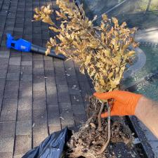 Top-Tier-Gutter-Cleaning-in-Ocoee-FL 1